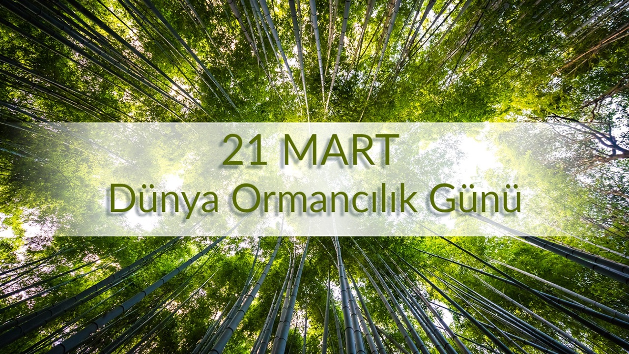 21 Mart Orman Günü