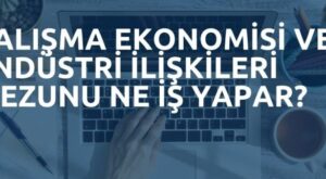 Çalışma Ekonomisi Ve Endüstri İlişkileri Okuyan Biri Ne İş Yapar?