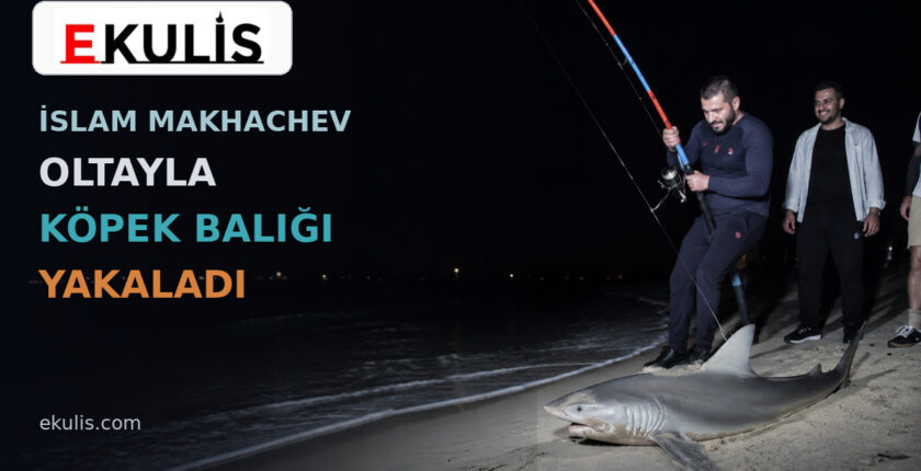 İslam Makhachev oltayla köpek balığı yakaladı